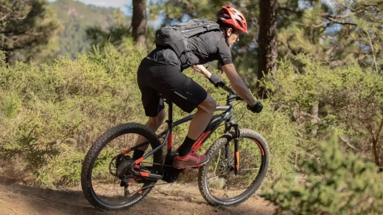 rockrider-e-st-100-en-tete