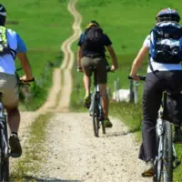 velo-electrique-trek-5