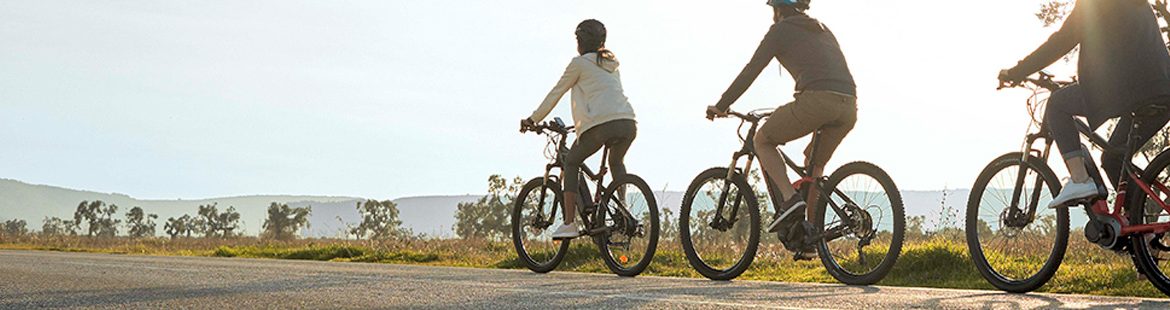 velo norauto view