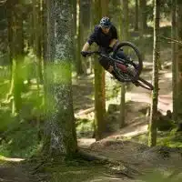 rockrider-8-1-view