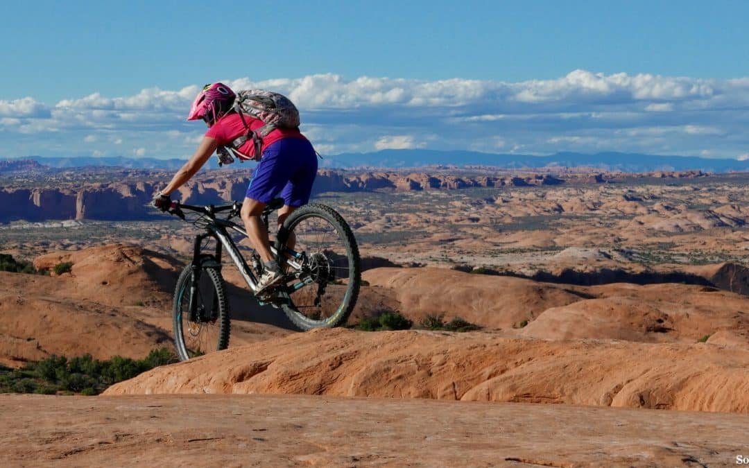 avis-rockrider-9-1