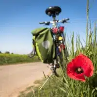 1-panier-velo