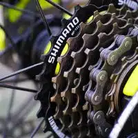 1-shimano-en-2025-un-premier-trimestre-prometteur-pour-le-geant-du-velo