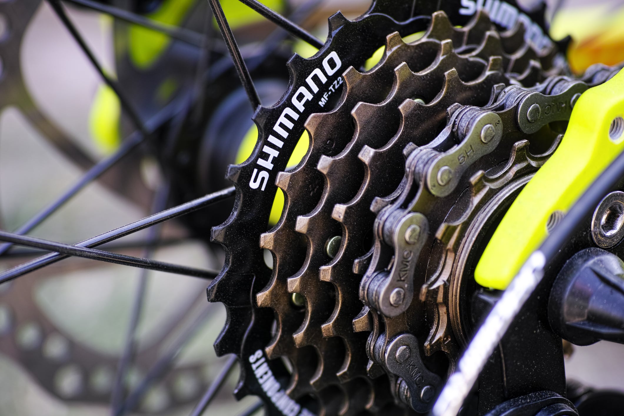 shimano-en-2025-un-premier-trimestre-prometteur-pour-le-geant-du-velo