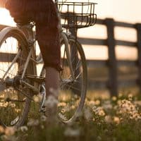 1-le-velo-pedalez-contre-la-depression-impact-sur-lhumeur-et-la-serotonine