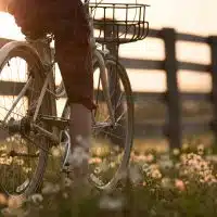 1-le-velo-pedalez-contre-la-depression-impact-sur-lhumeur-et-la-serotonine