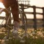 1-le-velo-pedalez-contre-la-depression-impact-sur-lhumeur-et-la-serotonine